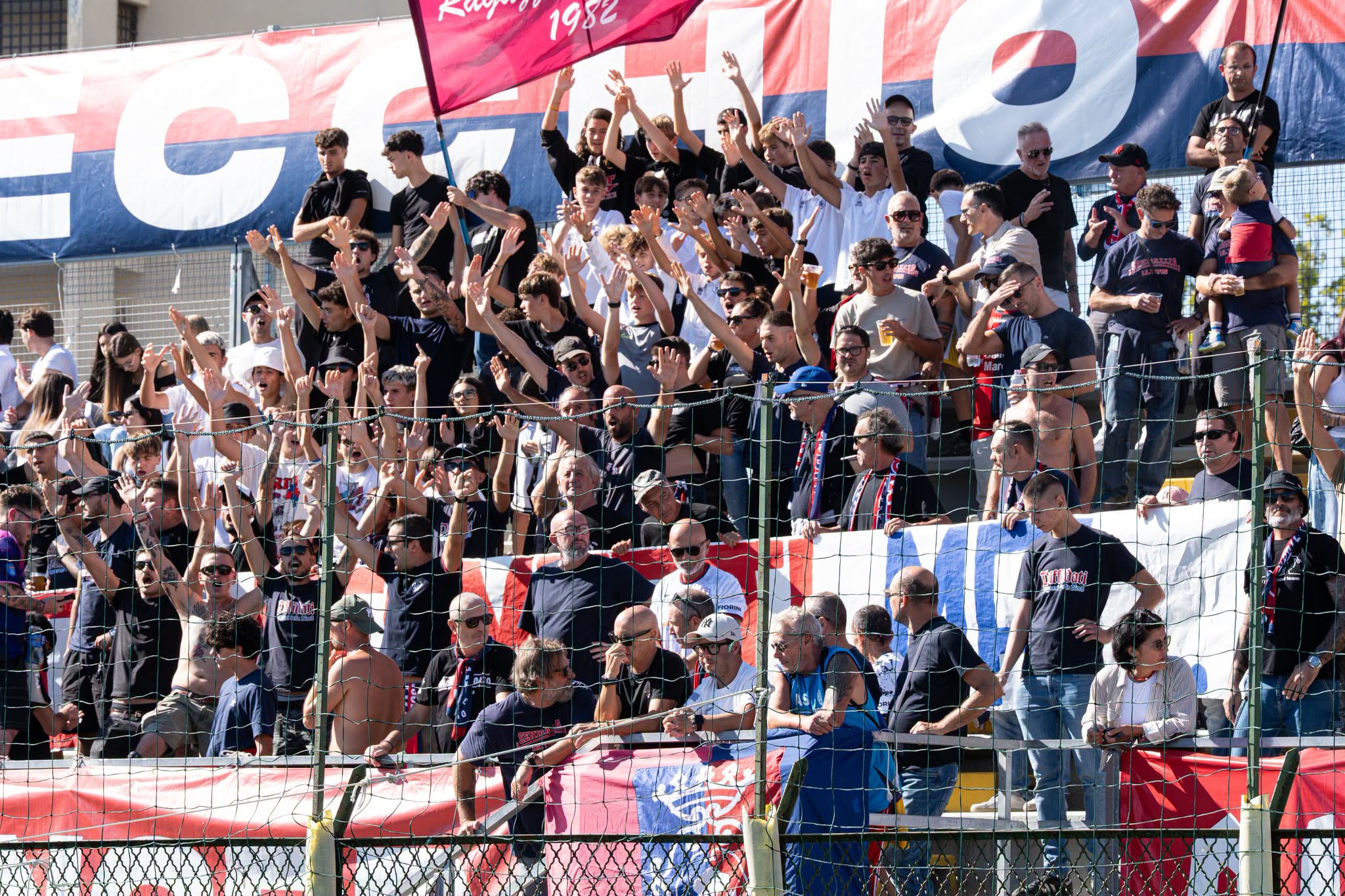 tifosi_vigor
